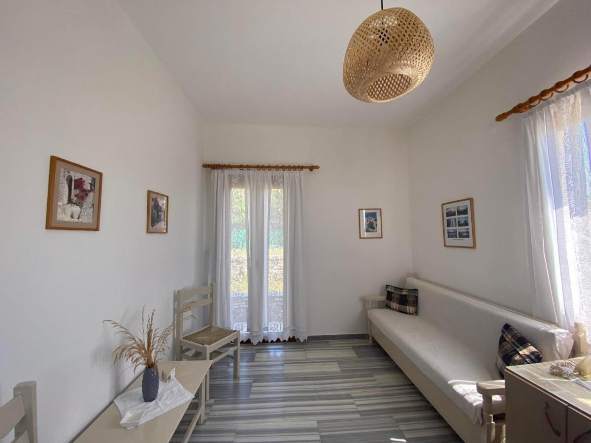 Stelios Zalonis Apartments Tínos Extérieur photo