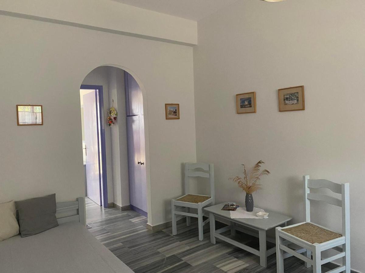 Stelios Zalonis Apartments Tínos Extérieur photo