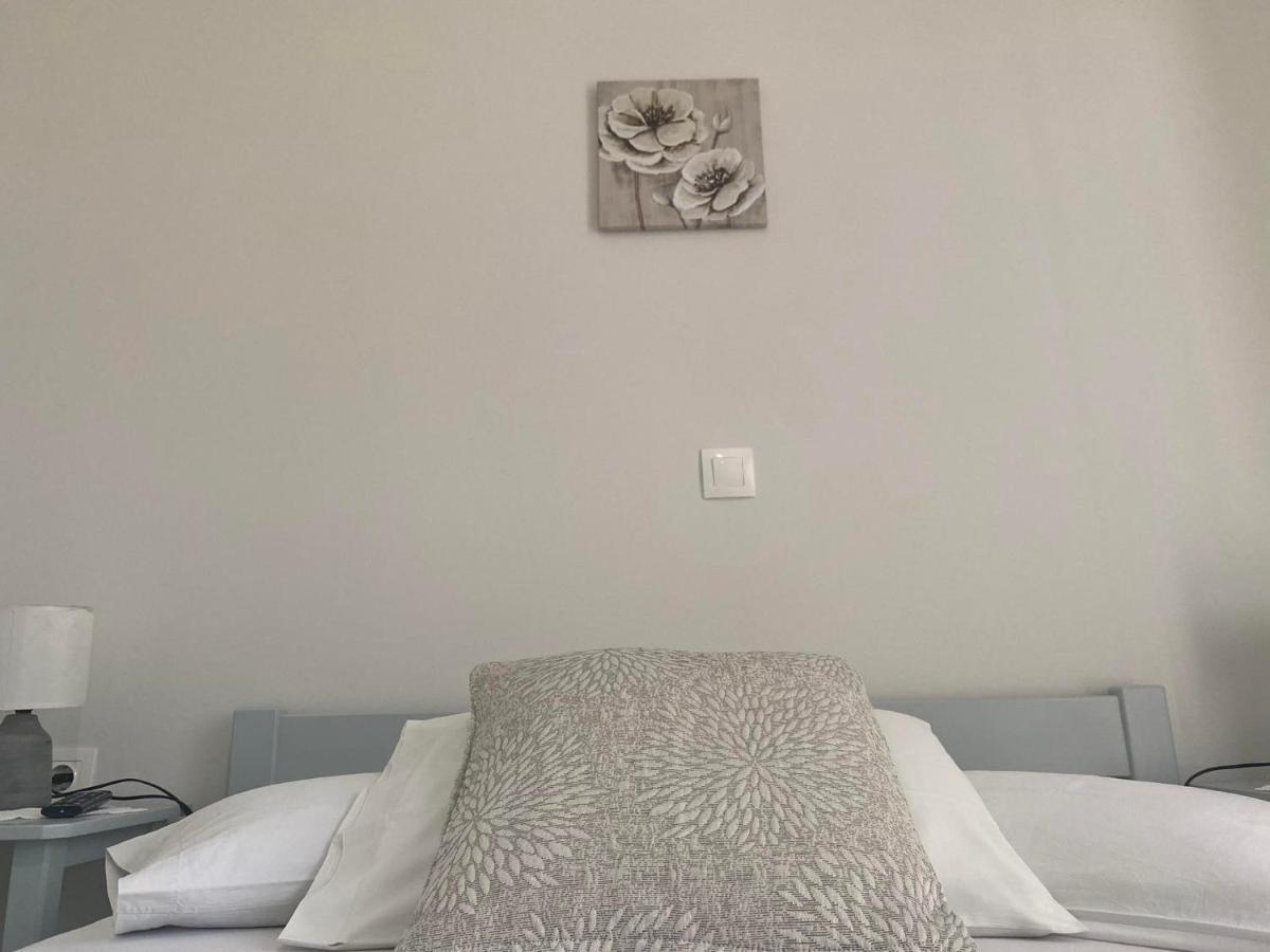 Stelios Zalonis Apartments Tínos Extérieur photo