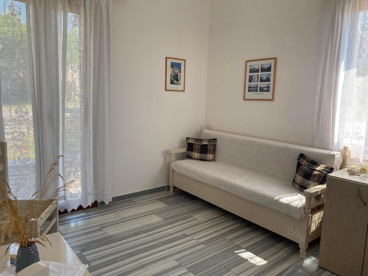 Stelios Zalonis Apartments Tínos Extérieur photo