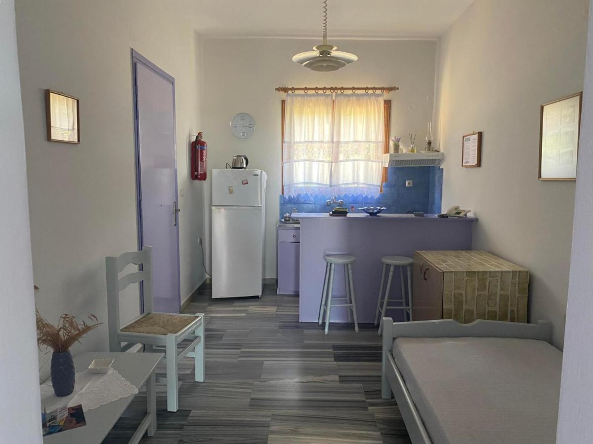 Stelios Zalonis Apartments Tínos Extérieur photo